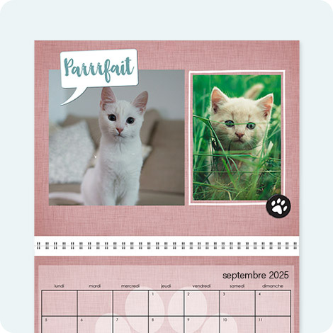 Calendrier Animaux de compagnie